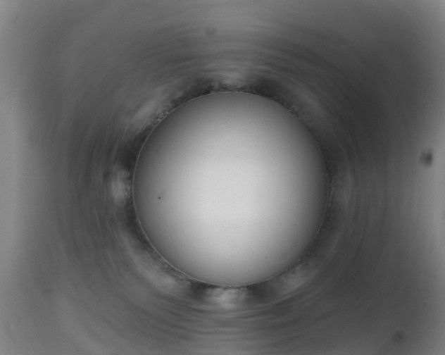 X0000112500135200908241358