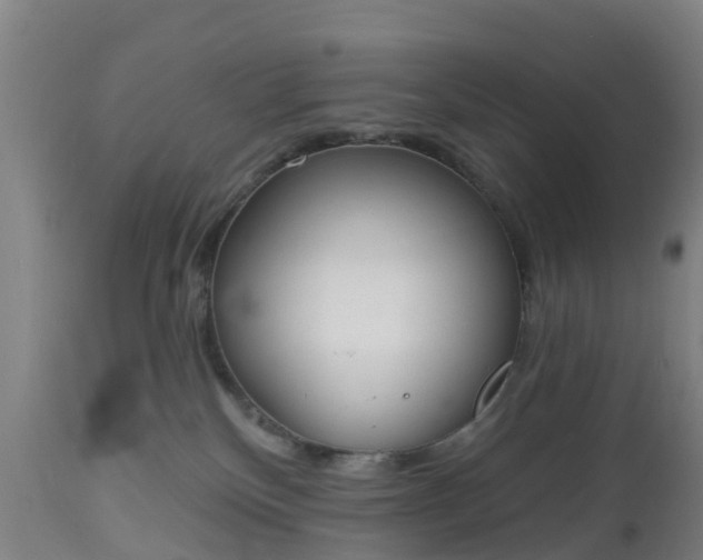 X0000112500136200908241358