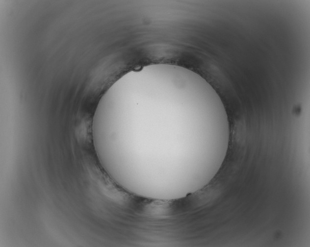 X0000112500138200908241358