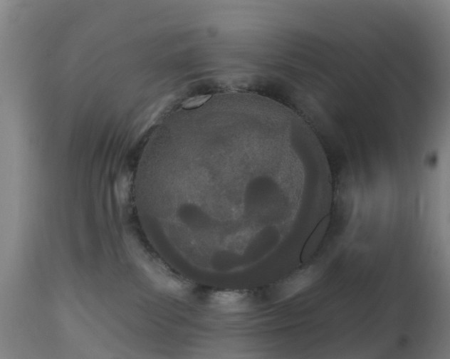 X0000112500139200908241358