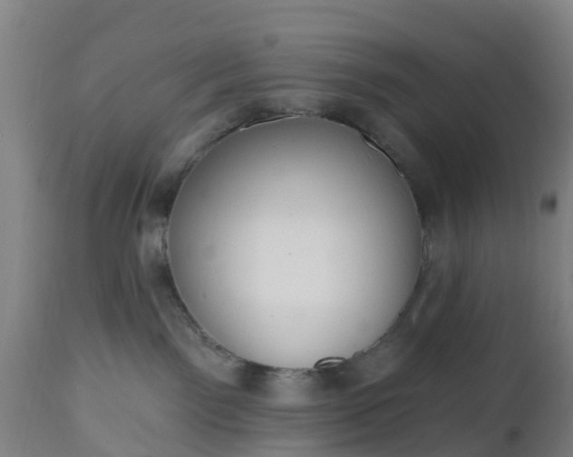 X0000112500141200908241358