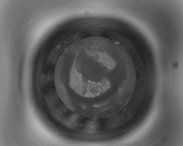 X0000112500143200908241358