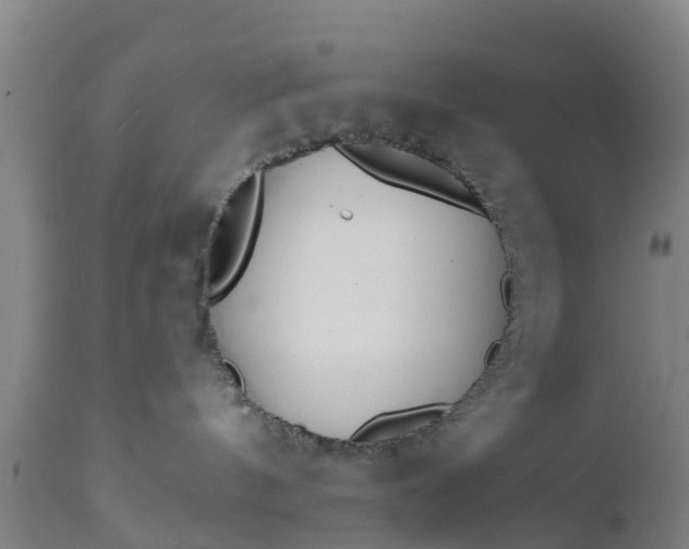 X0000112500144200908241358