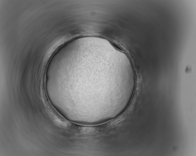 X0000112500145200908241357