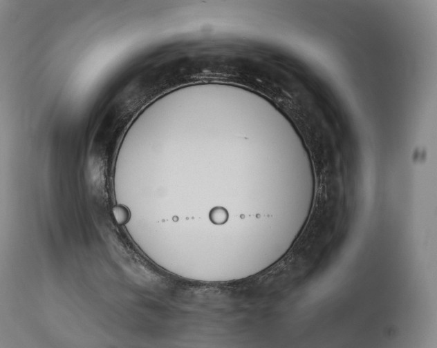 X0000112500146200908241357