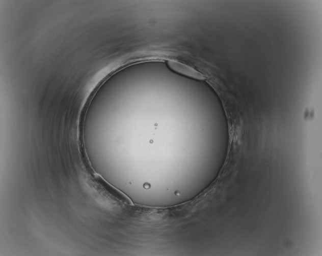 X0000112500148200908241357