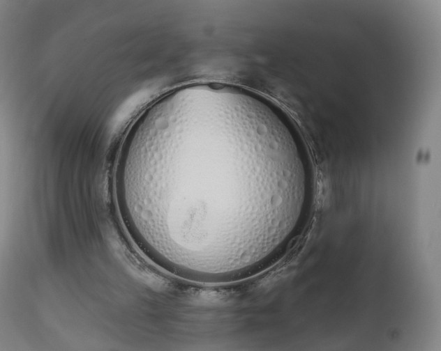 X0000112500149200908241357