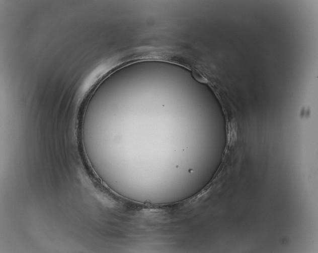 X0000112500150200908241357