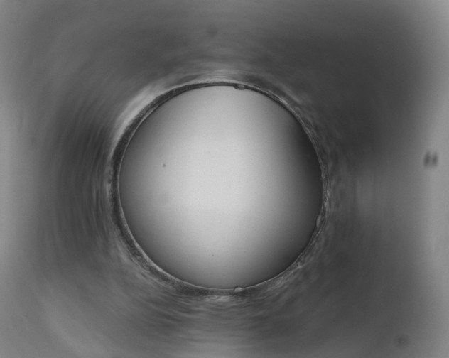 X0000112500152200908241357