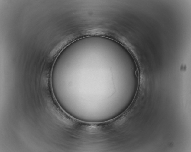 X0000112500153200908241357