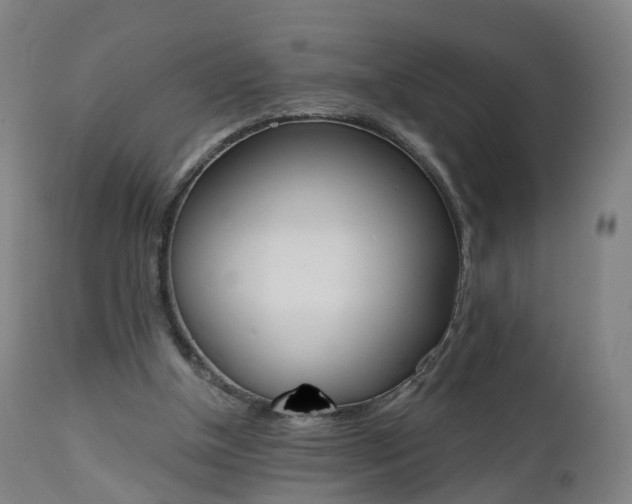 X0000112500154200908241358