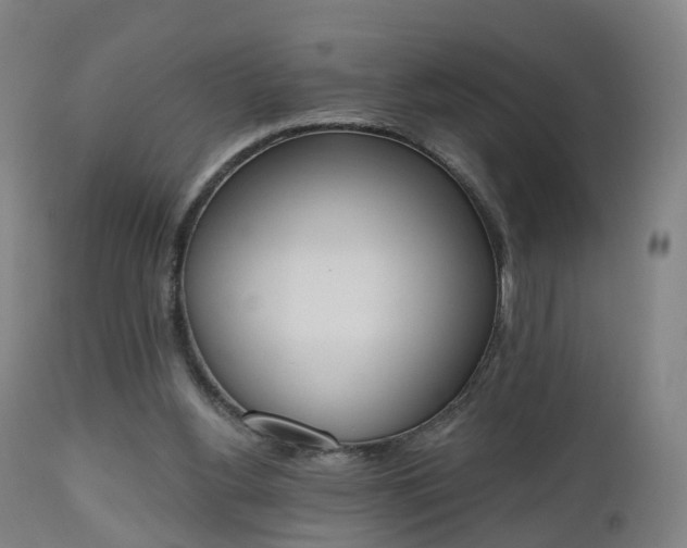 X0000112500156200908241358