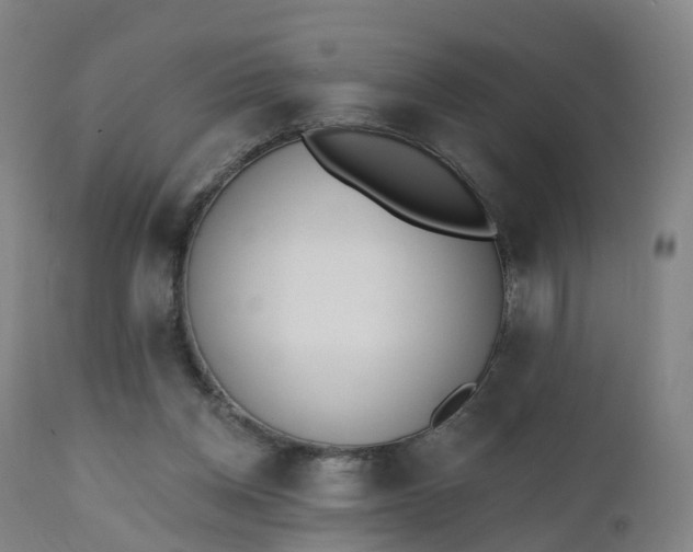 X0000112500158200908241358