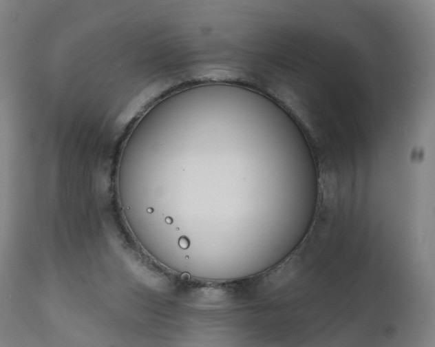 X0000112500159200908241358