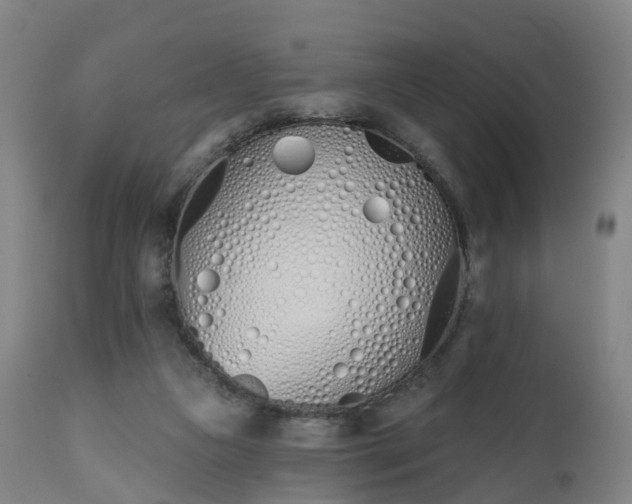 X0000112500161200908241358