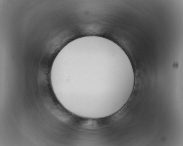 X0000112500162200908241358