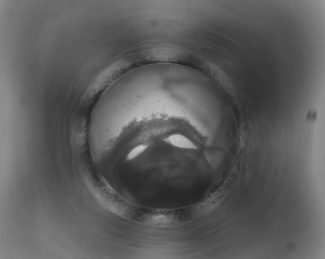 X0000112500163200908241358