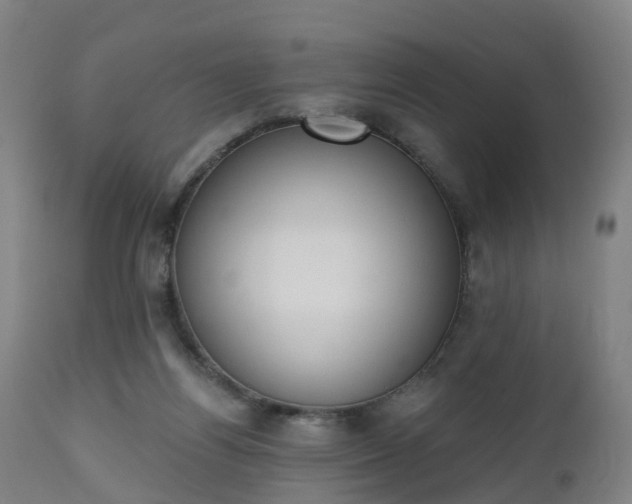 X0000112500164200908241358