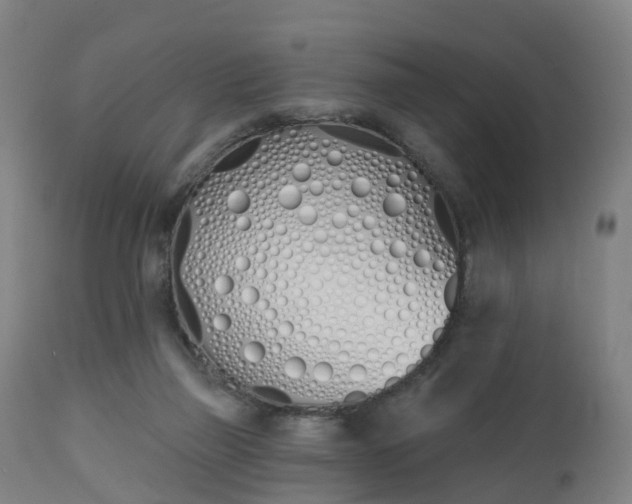 X0000112500165200908241358