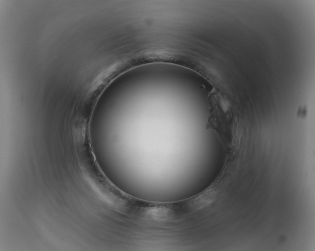 X0000112500168200908241358