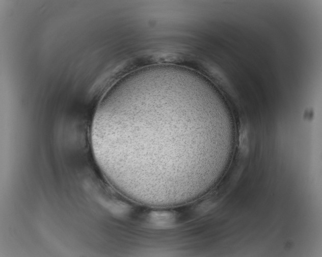 X0000112500169200908241358