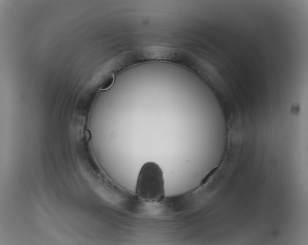 X0000112500171200908241358