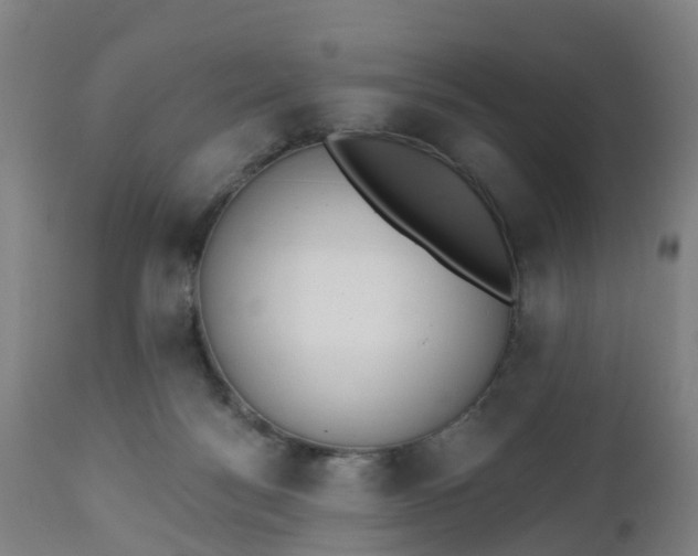 X0000112500172200908241358