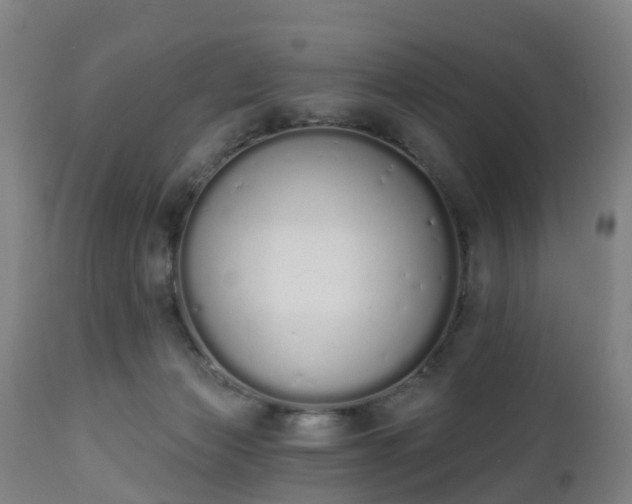 X0000112500173200908241358