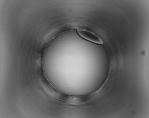 X0000112500174200908241358