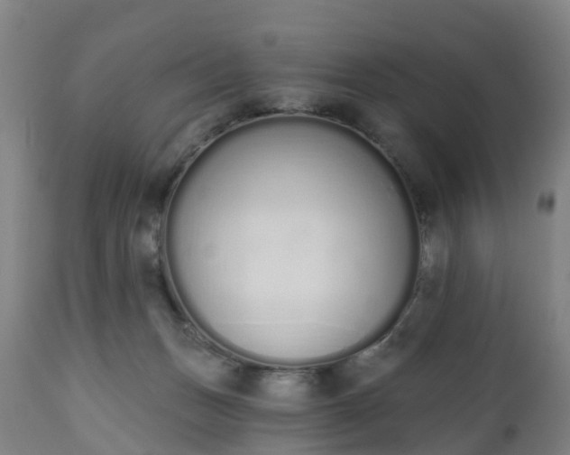 X0000112500175200908241358