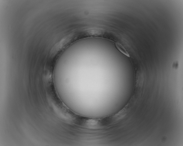 X0000112500176200908241358