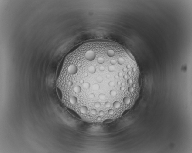 X0000112500177200908241358