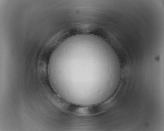 X0000112500178200908241358