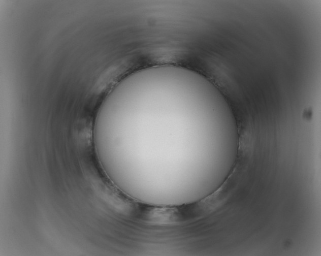 X0000112500179200908241358