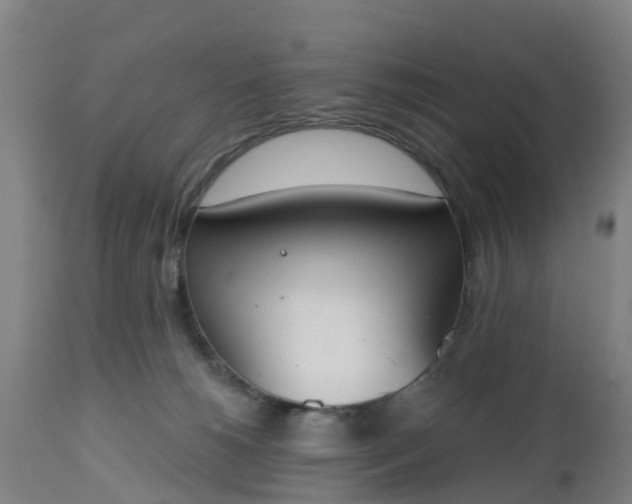 X0000112500180200908241358