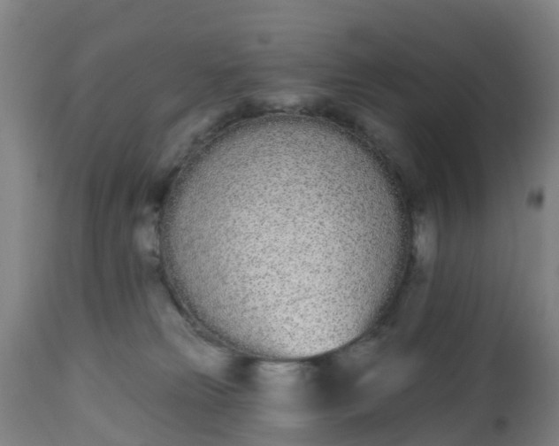 X0000112500181200908241358