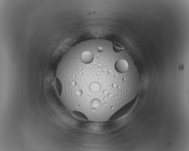 X0000112500182200908241358