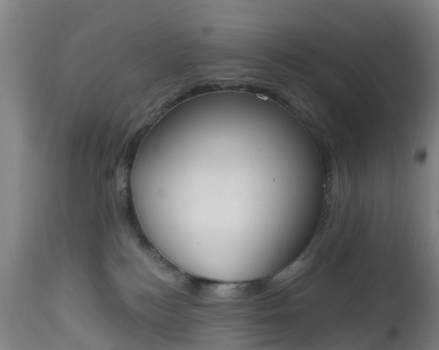 X0000112500184200908241358