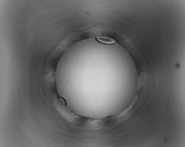 X0000112500186200908241358