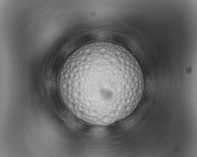 X0000112500189200908241358