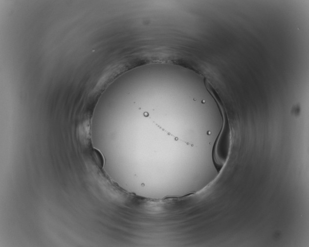 X0000112500190200908241358