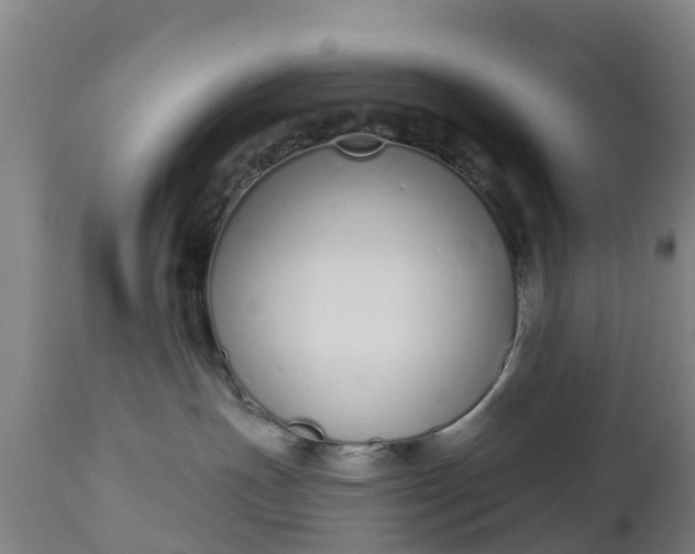 X0000112500191200908241358