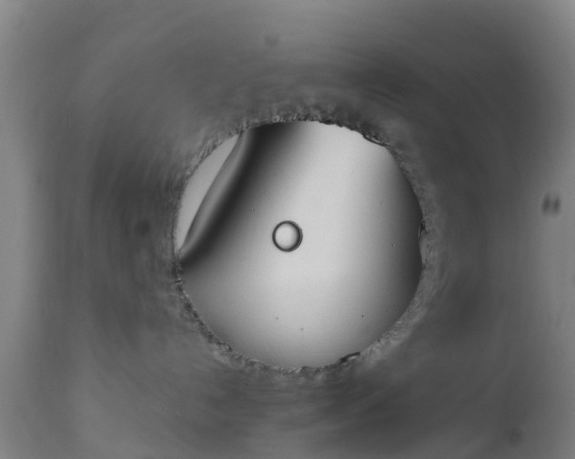 X0000112500192200908241358