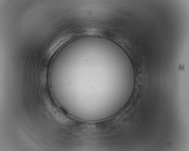 X0000112500194200908241357