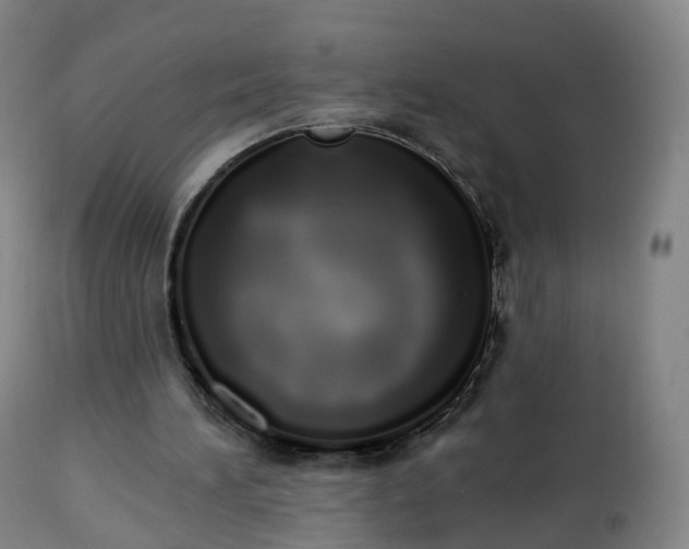 X0000112500196200908241357