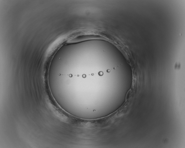 X0000112500197200908241357