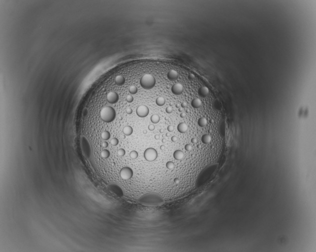 X0000112500198200908241357