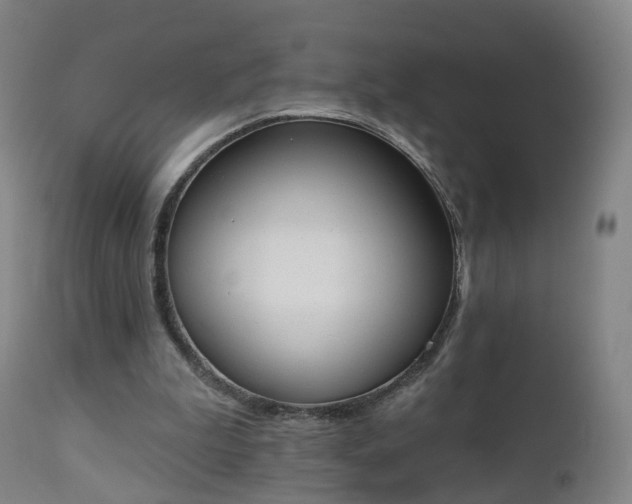 X0000112500199200908241357