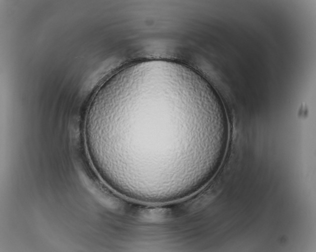 X0000112500202200908241357