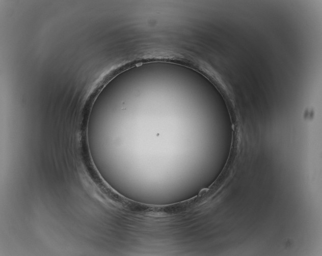 X0000112500203200908241357